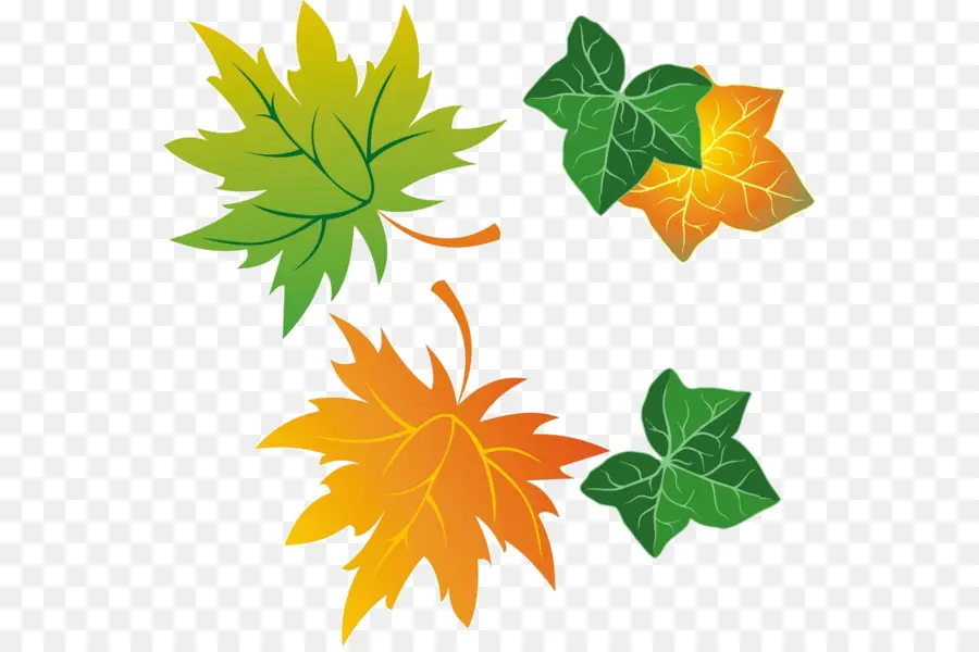 Folha，Maple Leaf PNG