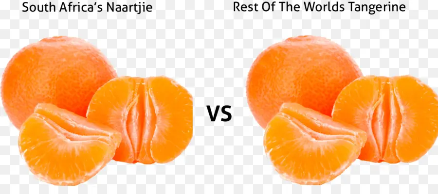 Naartjie Vs Tangerina，Fruta PNG