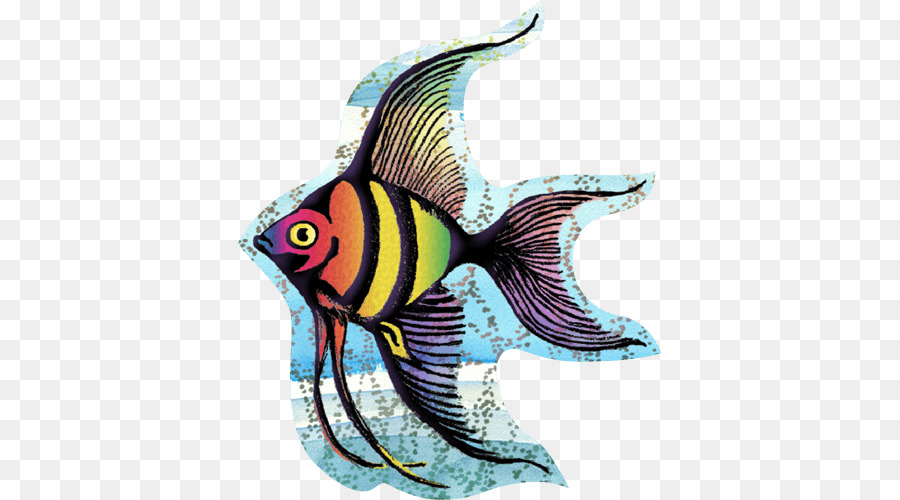 Angelfish，Biologia Marinha PNG