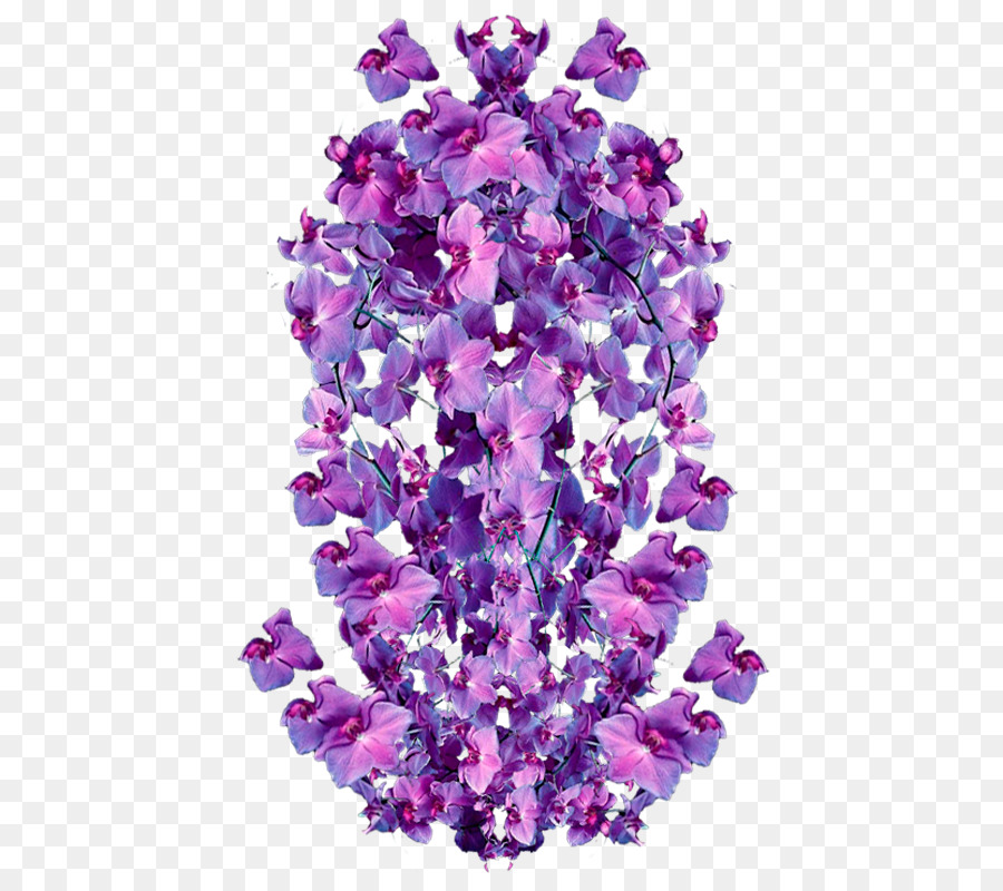 Lavender，Violet PNG