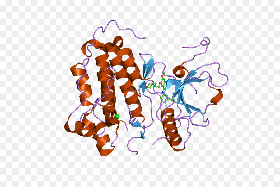 Estrutura Proteica，Molécula PNG