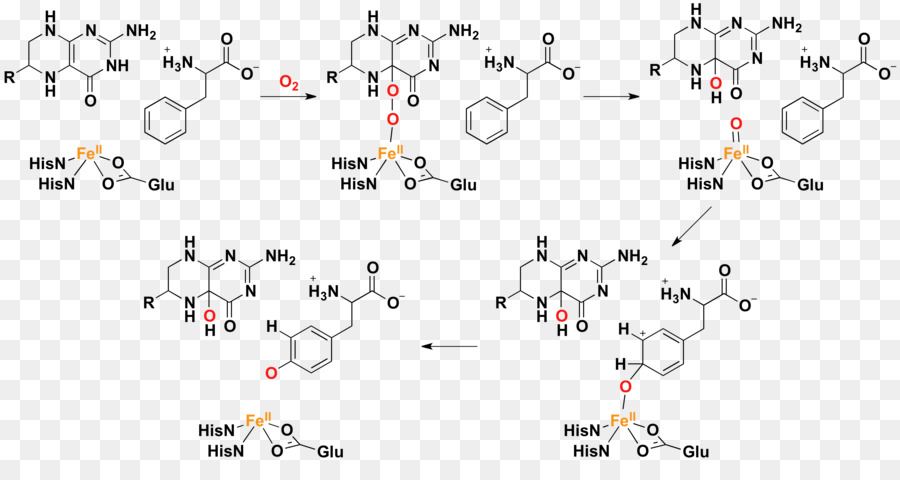 Estrutura Química，Química PNG