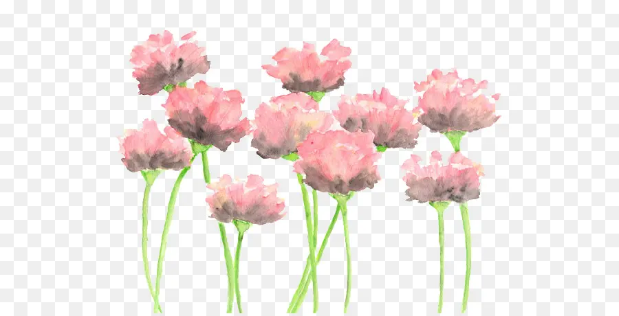 Aquarela Flores，Pintura Em Aquarela PNG