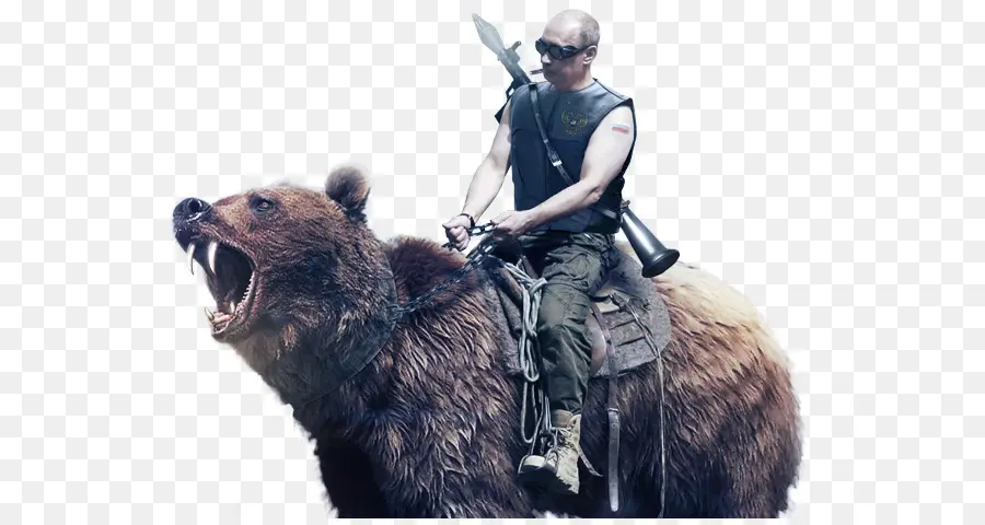 Rússia，Urso PNG
