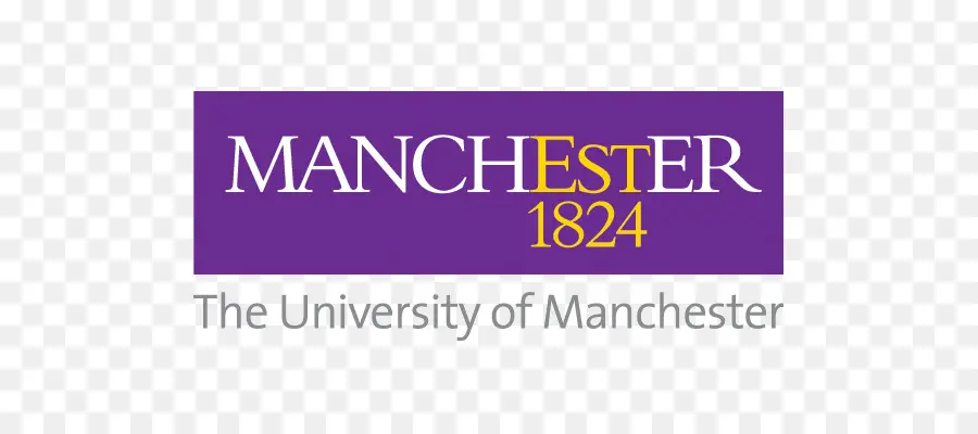 Universidade De Manchester，Aliança Manchester Business School PNG