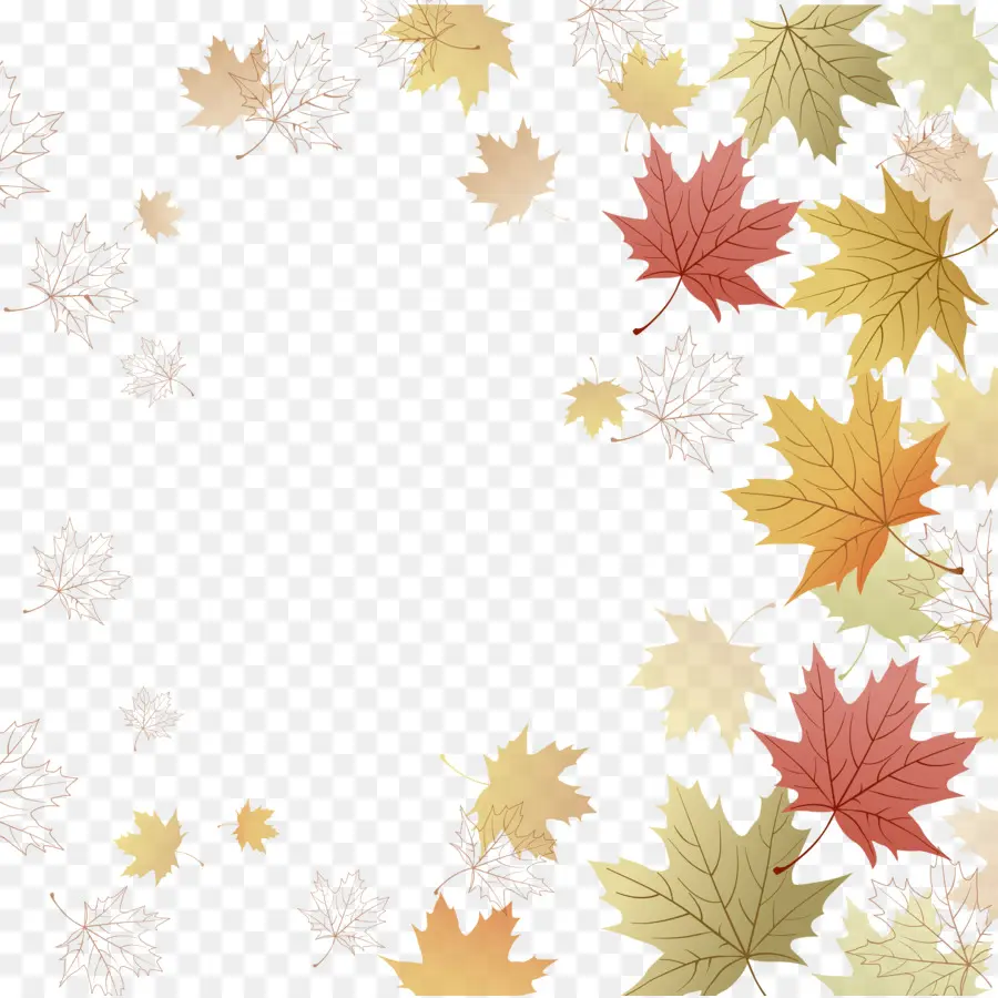 Maple Leaf，Papel PNG