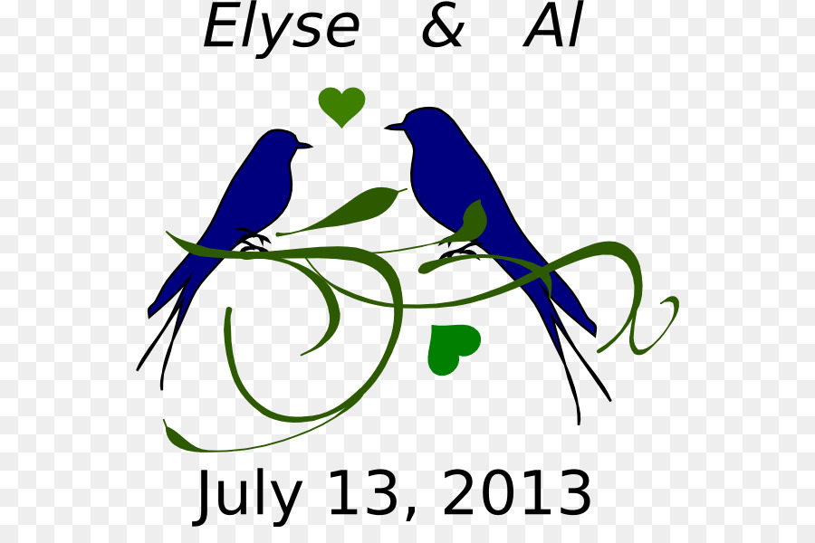 Aves，Lovebird PNG