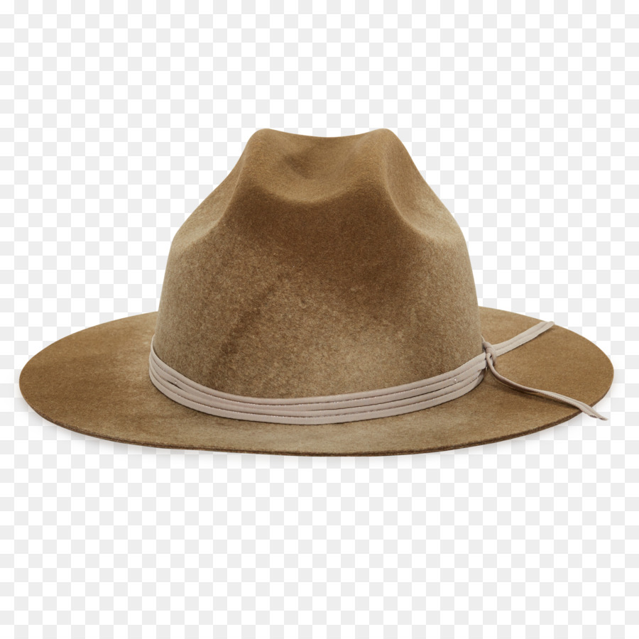 Fedora，Chapéu PNG