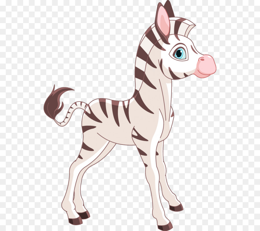 Zebra，Listras PNG