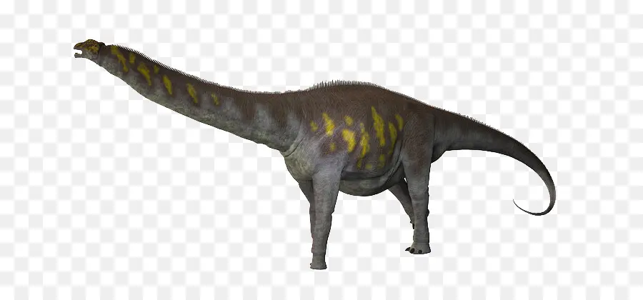 O Argentinossauro，Titanosaurus PNG