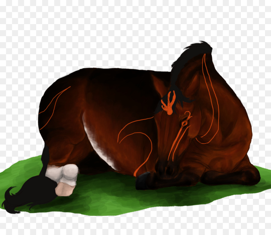 Cavalo，Focinho PNG