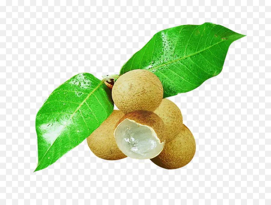 Fruta Longan，Fruta PNG