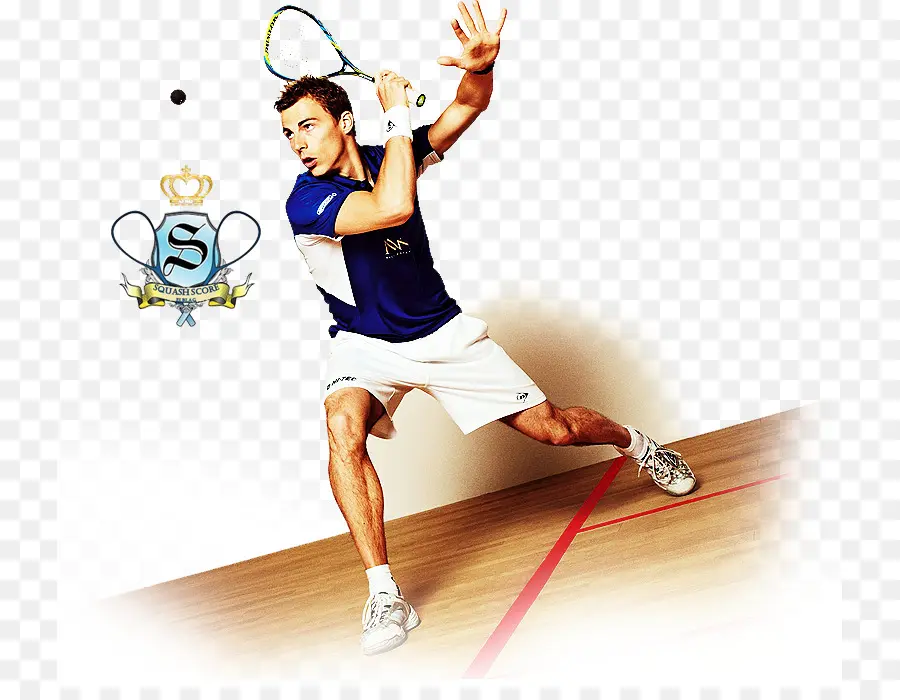 Jogador De Squash，Raquete PNG