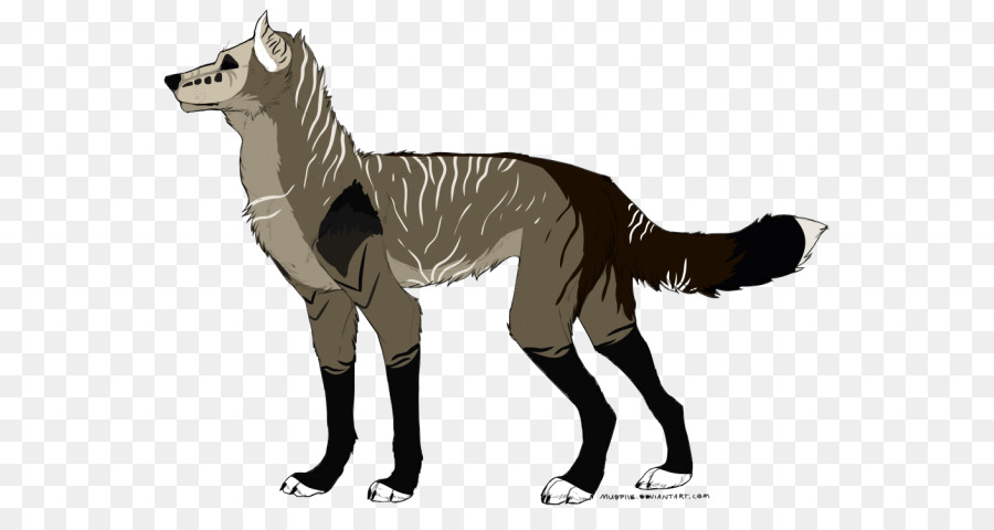 Canidae，Gato PNG