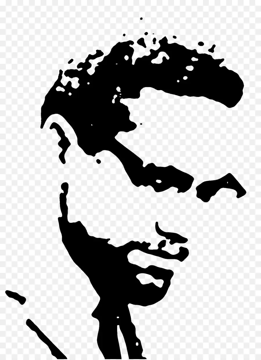 Estêncil Malcolm X，Retrato PNG