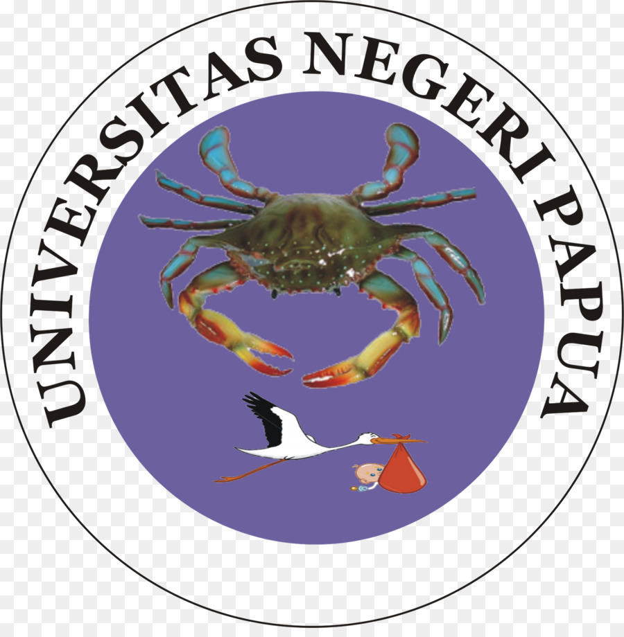 Fundação Universidade，Universidade PNG