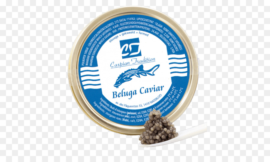 Caviar，Caviar Beluga PNG