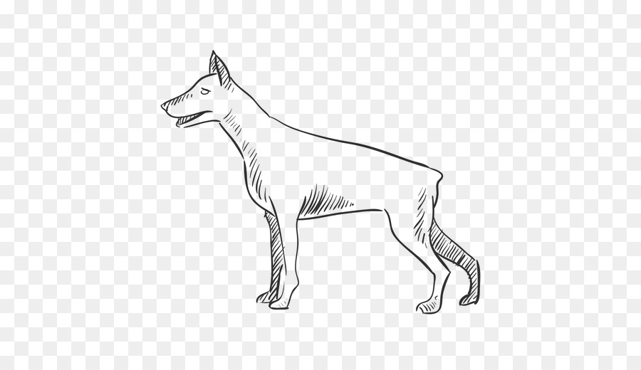 Raça Do Cão，O Cão Selvagem Africano PNG