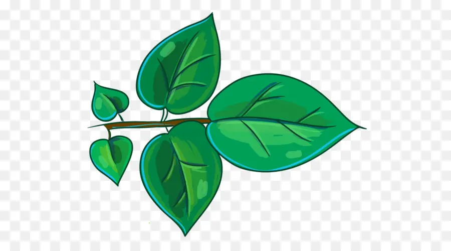 Folha Verde，Plantar PNG