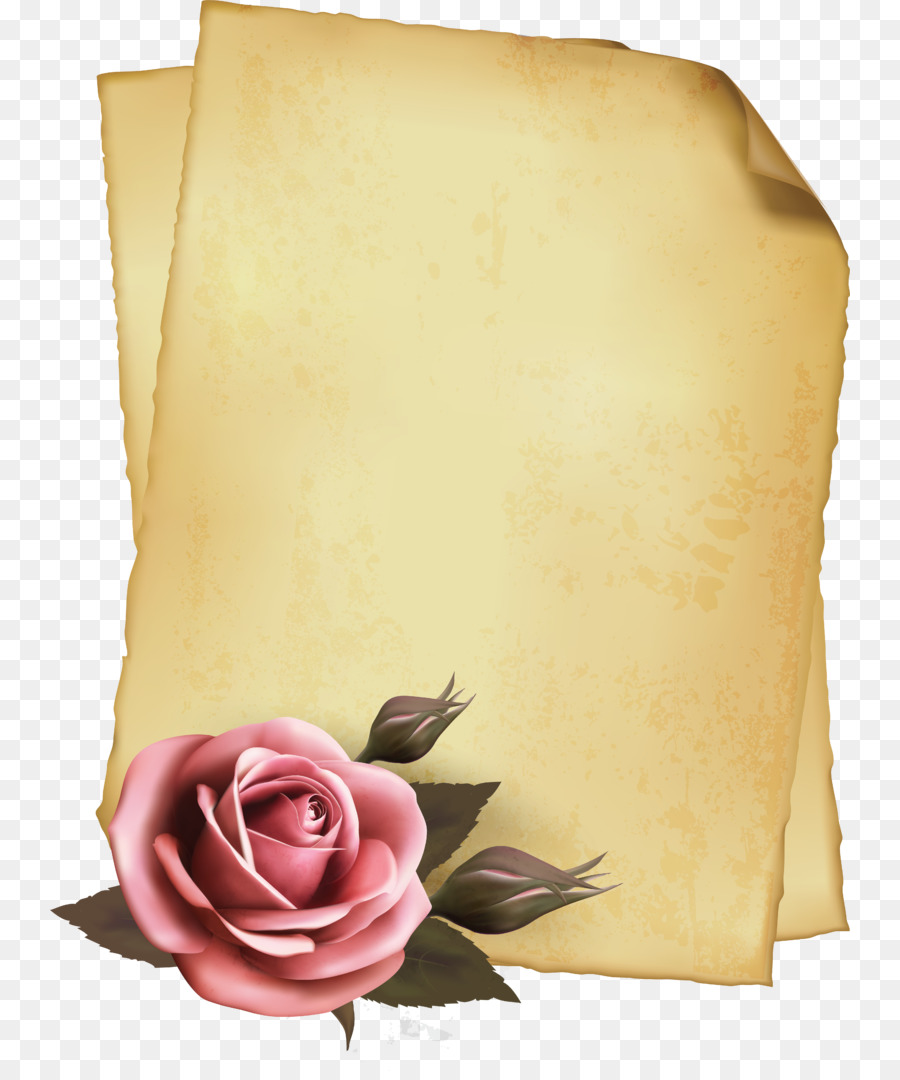 Rosa E Papel，Flor PNG