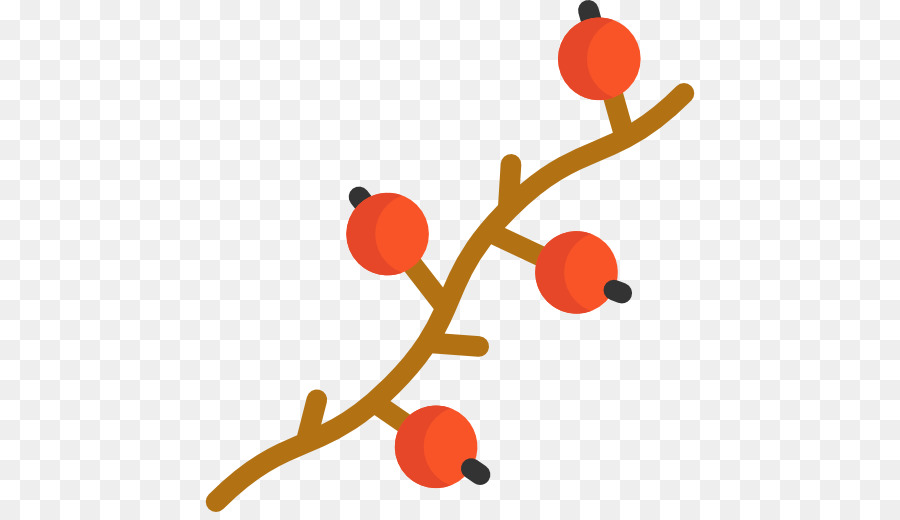 Uva，Berry PNG