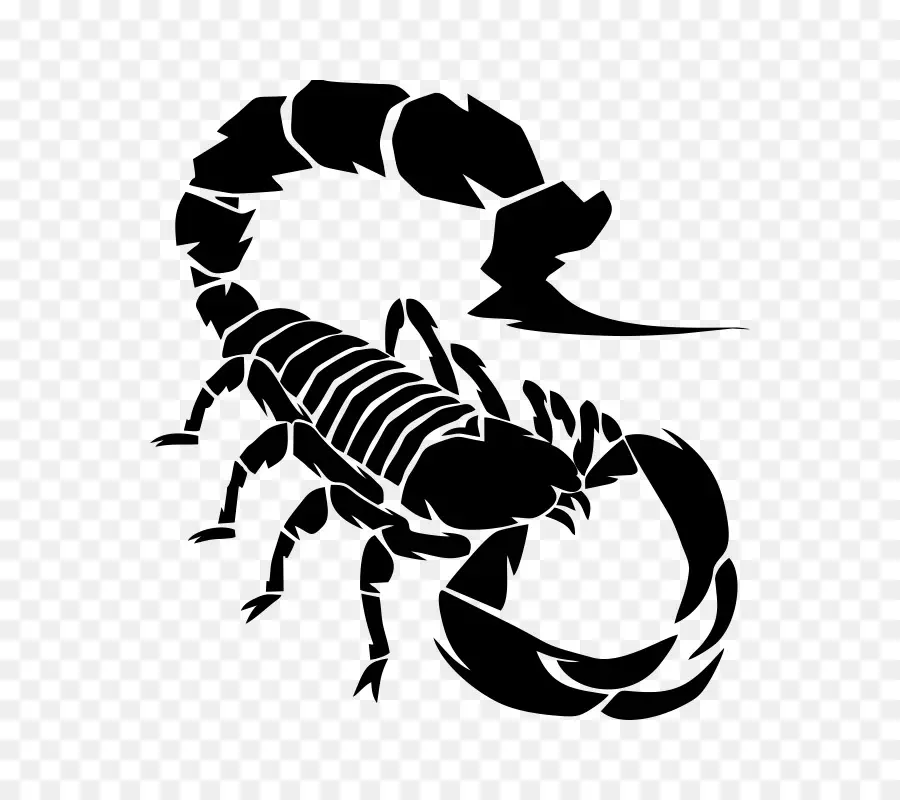 Escorpião，Desenho PNG