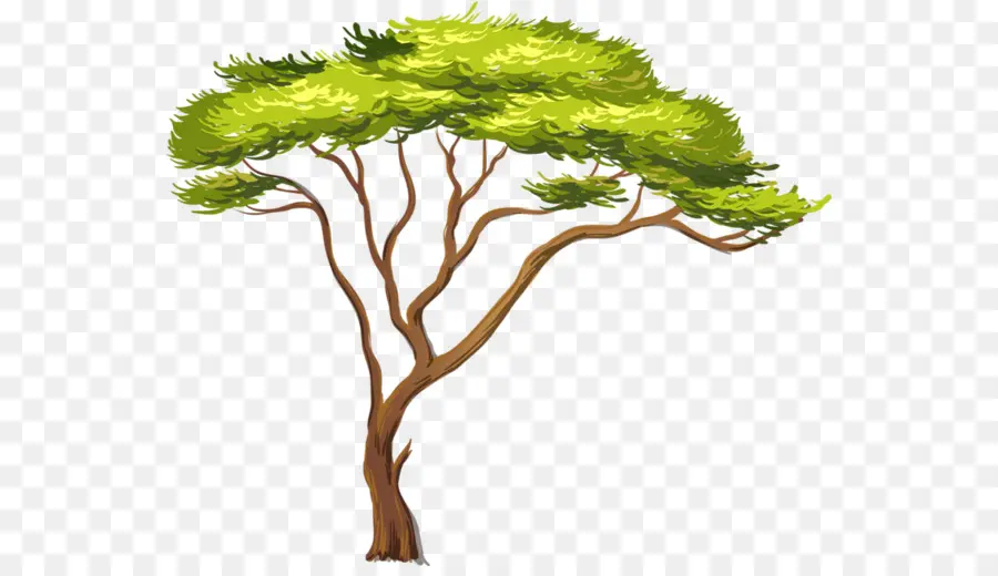 áfrica，Africana árvores PNG