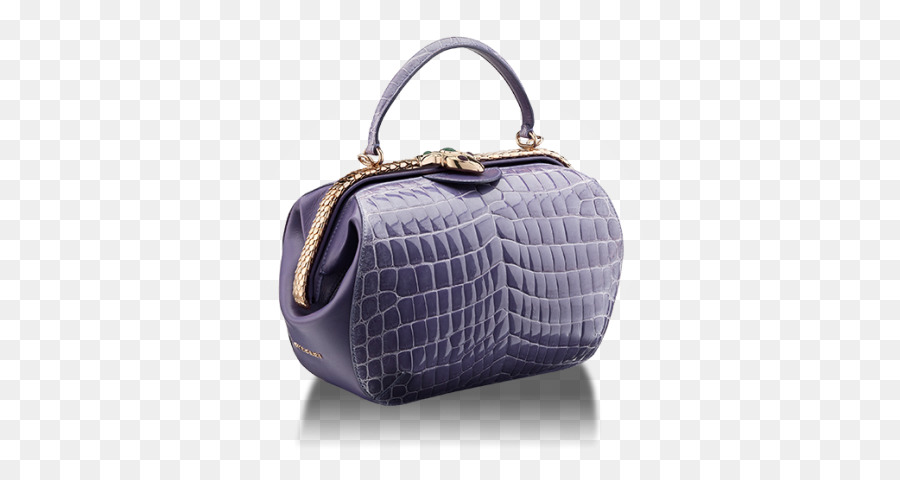 Bolsa De Mão，Bolsa Da Moeda PNG