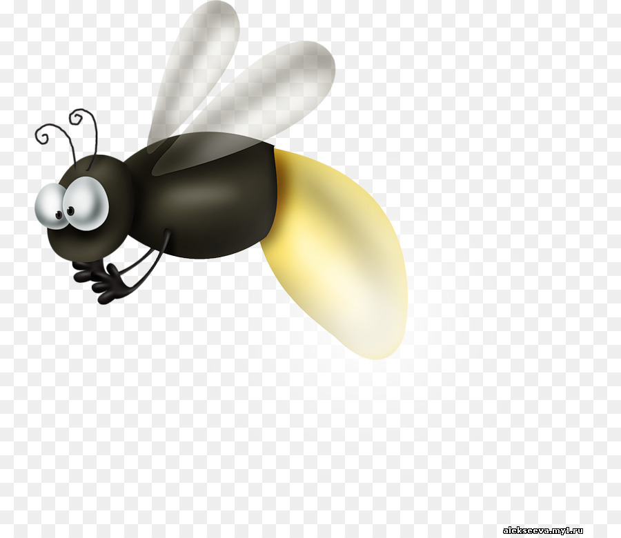 Formiga，Mosquito PNG