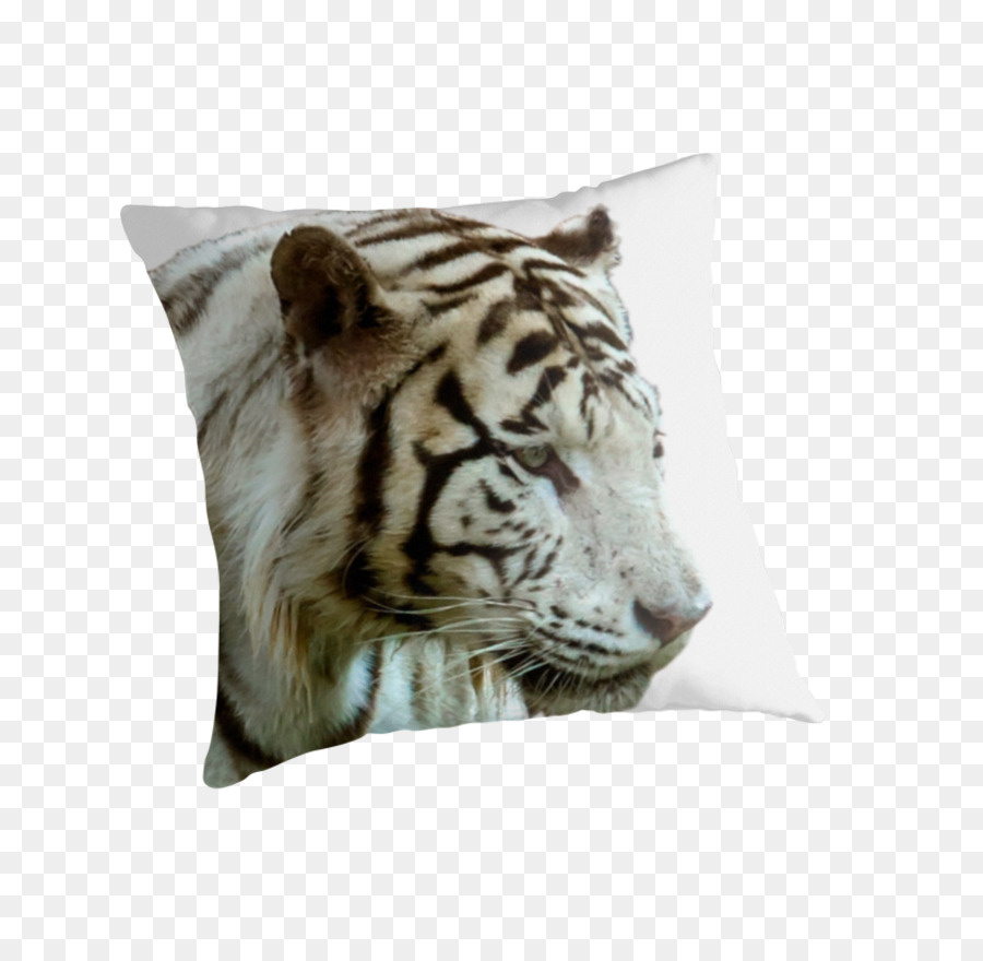 Tigre，Lançar Travesseiros PNG