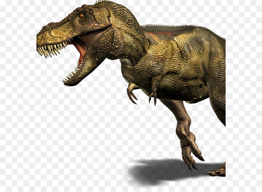 Dinossauro，Pré Histórico PNG