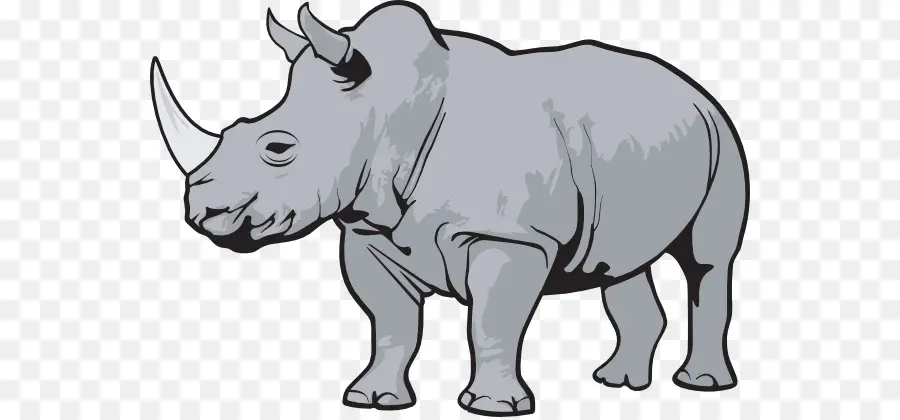 Rinoceronte，Papel De Parede Da área De Trabalho PNG