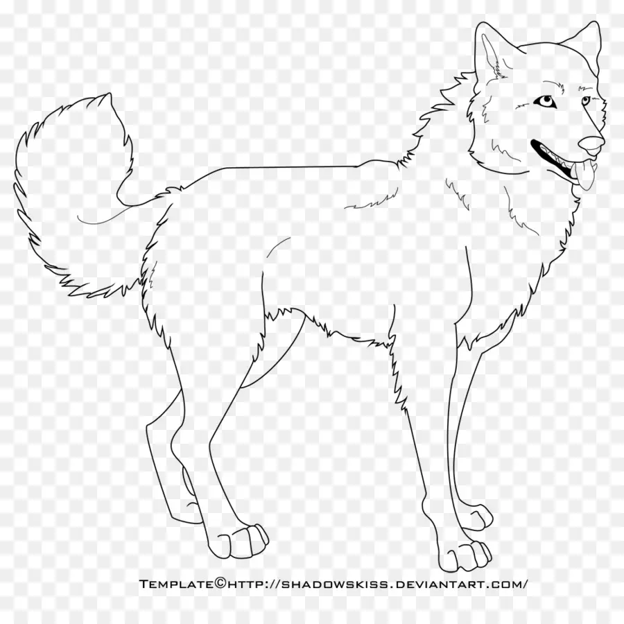 Modelo，Rough Collie PNG