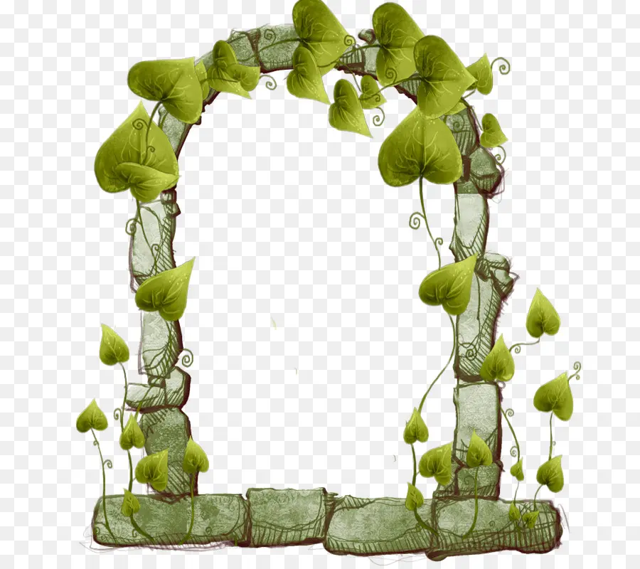 Arco Frondoso，Arco PNG