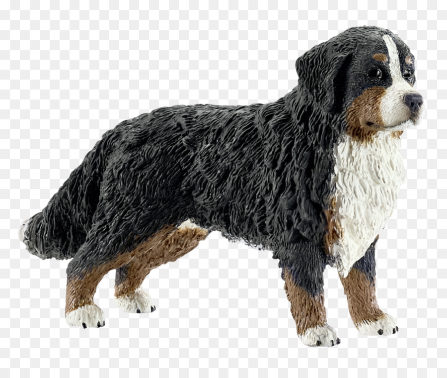 Bernese Mountain Dog，Filhote De Cachorro PNG