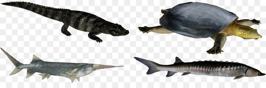 Dos Animais Terrestres，Dinossauro PNG