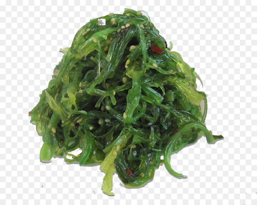 Salada De Algas Marinhas，Alga PNG