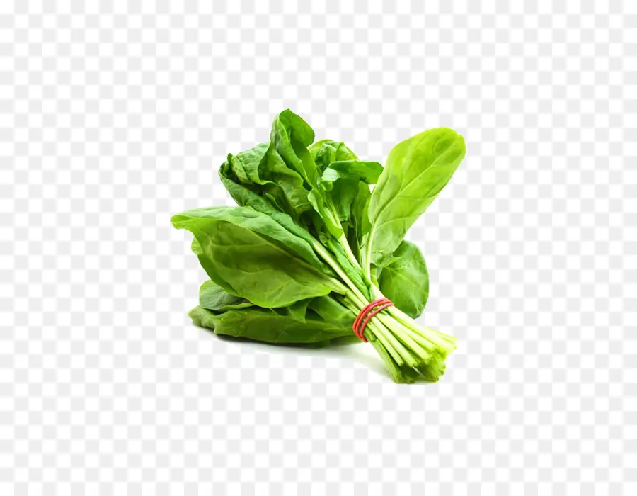 Bok Choy，Verde PNG