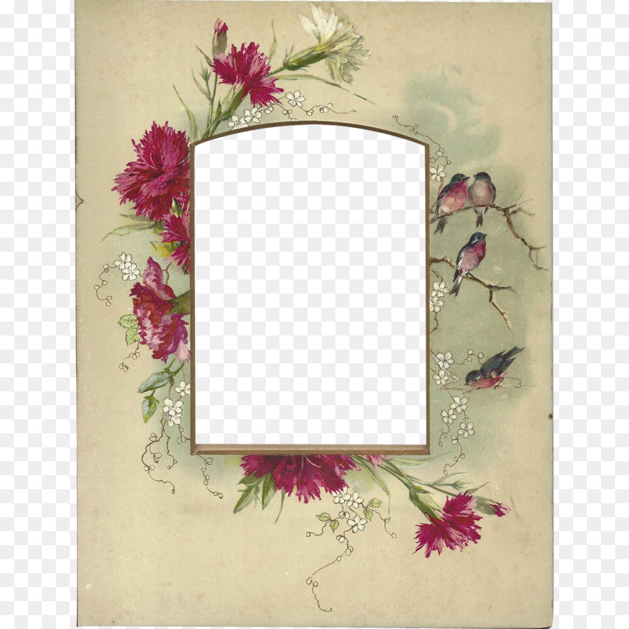 Design Floral，Molduras PNG