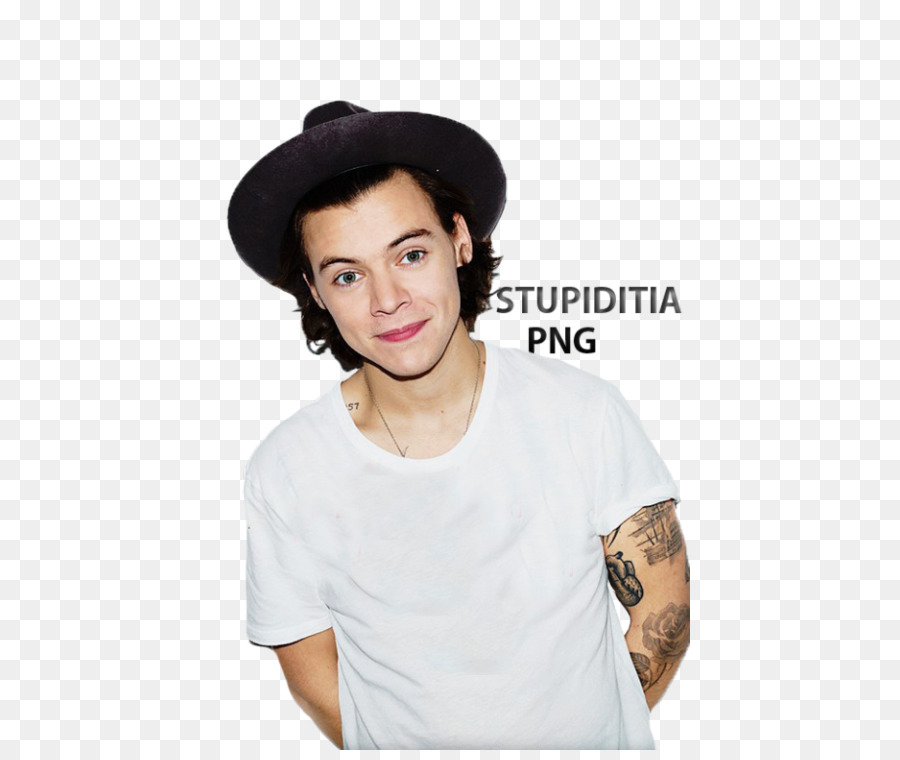 Harry Styles，Uma Direção PNG