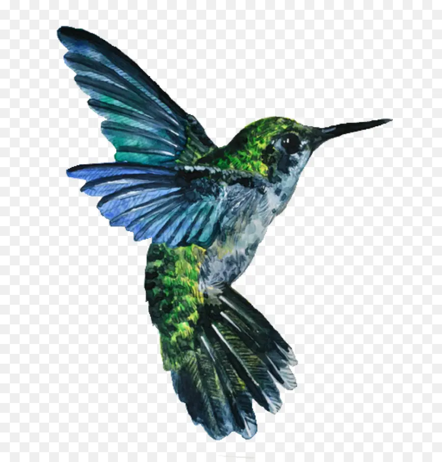 Colibri，Vôo PNG