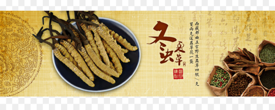 Yushu Prefeitura Autônoma Tibetana，A Caterpillar Fungus PNG