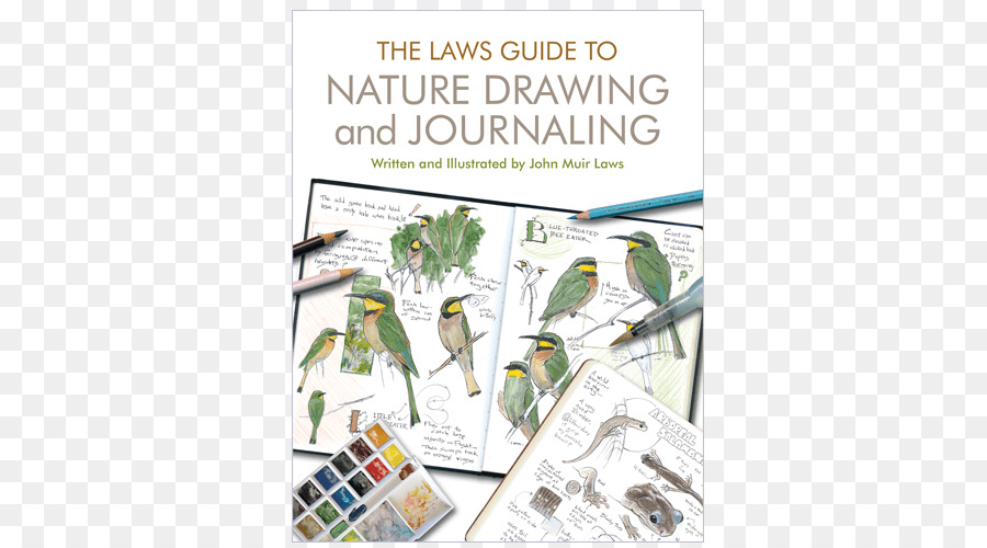 Leis Guia Para A Natureza Desenho E O Diário，Leis Sketchbook Para A Natureza Diário PNG