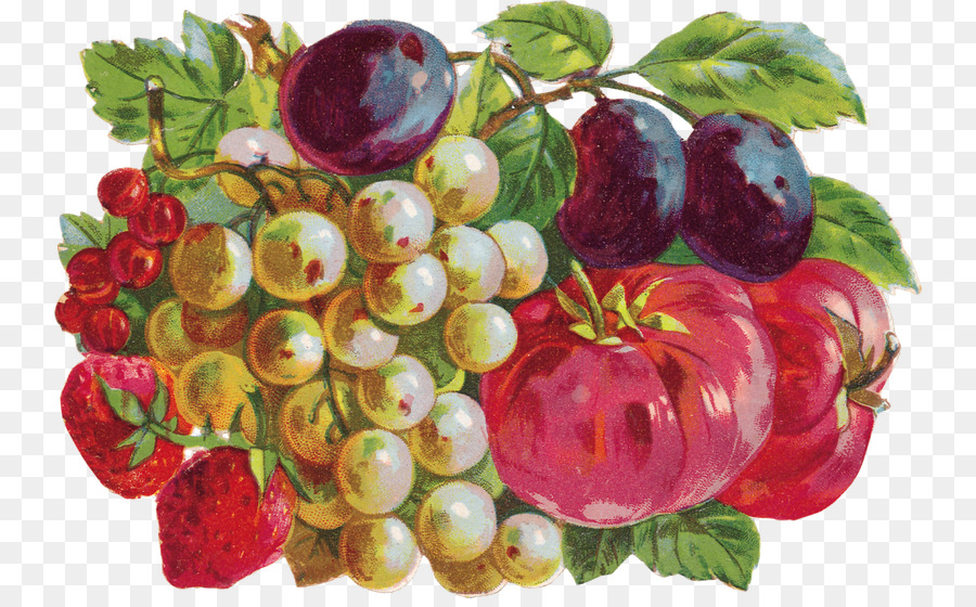 Frutas，Uvas PNG