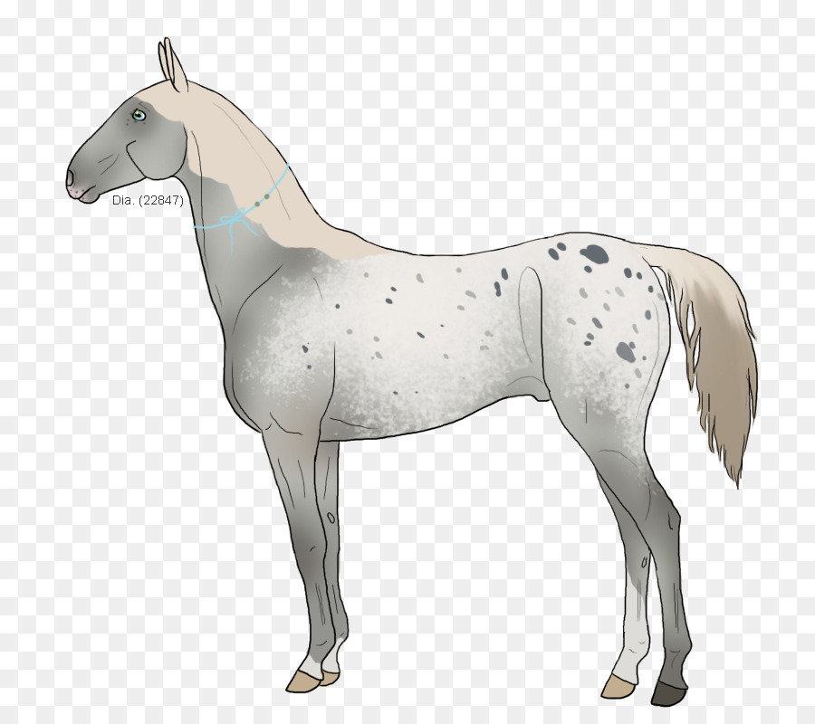 Mustang，Mane PNG