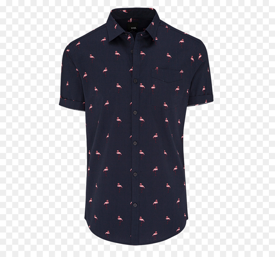 Camisa Polo，Polo De Tênis PNG