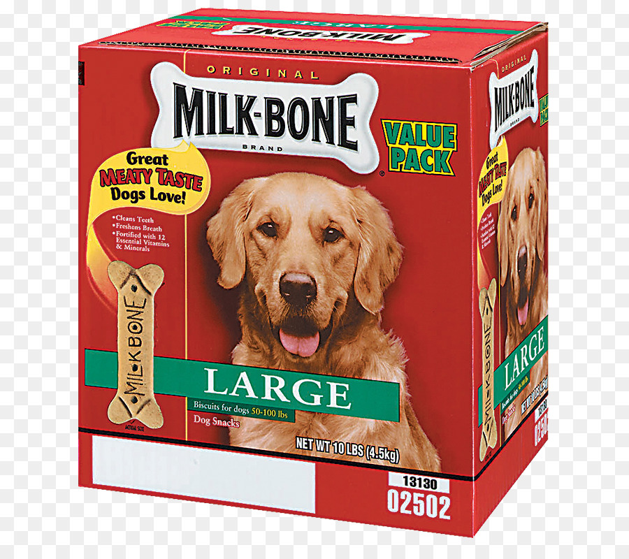 Golden Retriever，Milkbone PNG