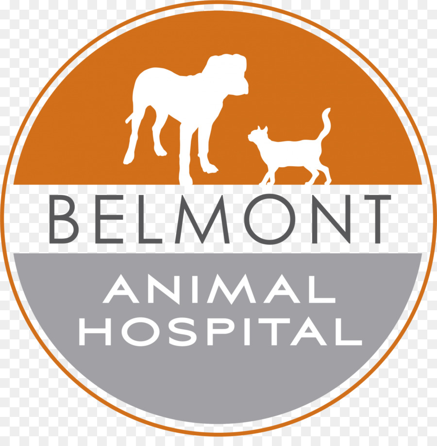 Belmont Hospital De Animais，Cão PNG
