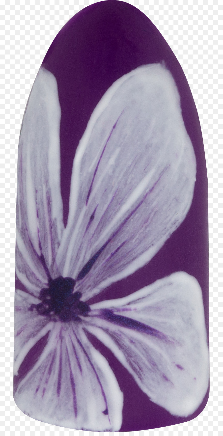 Closeup，Violeta PNG