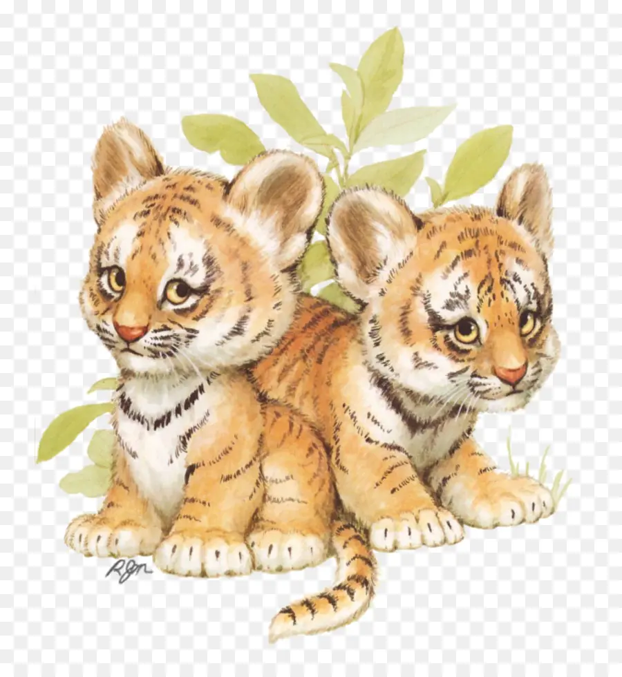 Filhotes De Tigre，Animais Selvagens PNG